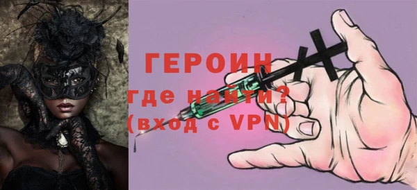 дживик Няндома