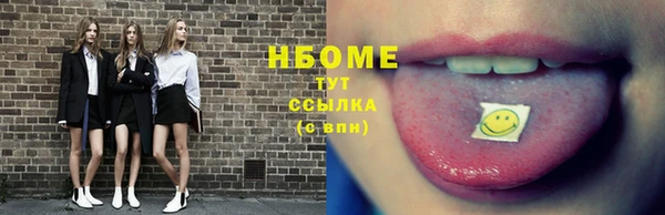 дживик Няндома