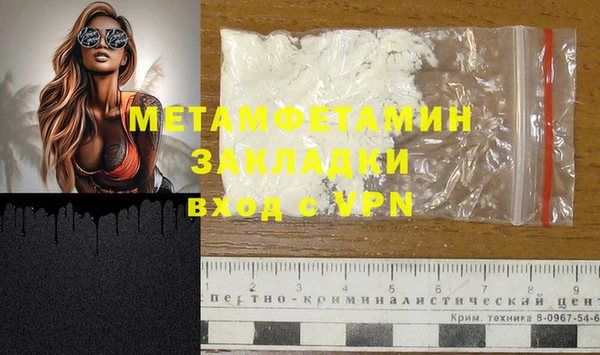дживик Няндома