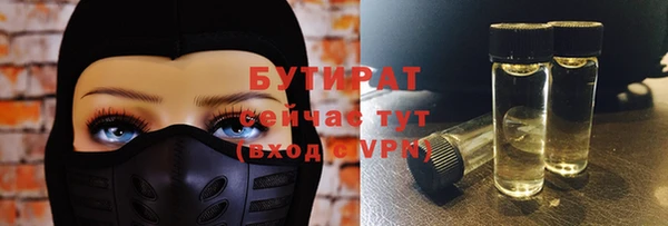 дживик Няндома