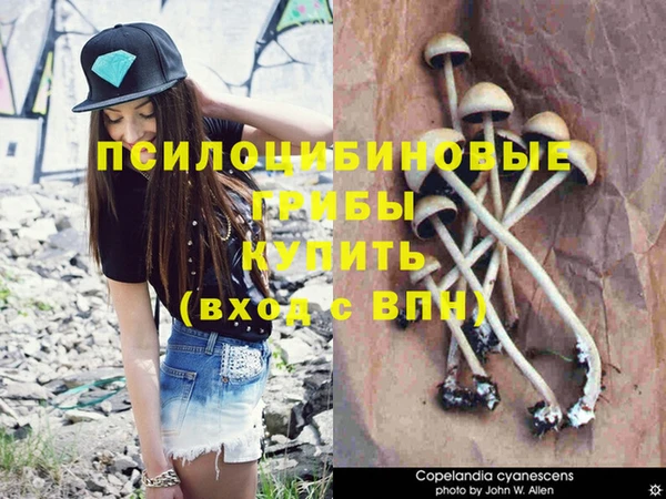 дживик Няндома