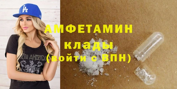 дживик Няндома