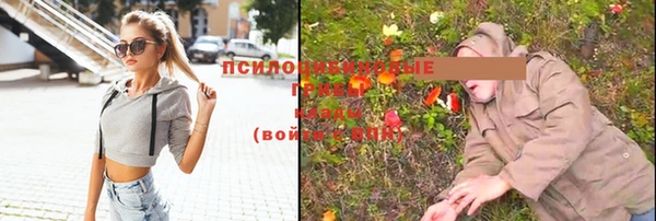 дживик Няндома