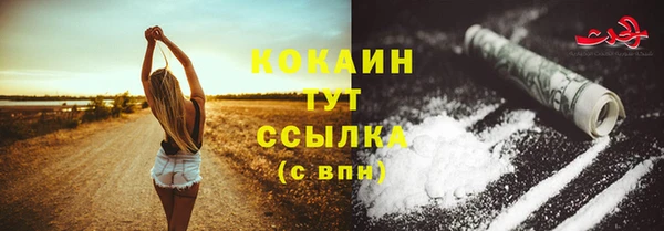 дживик Няндома