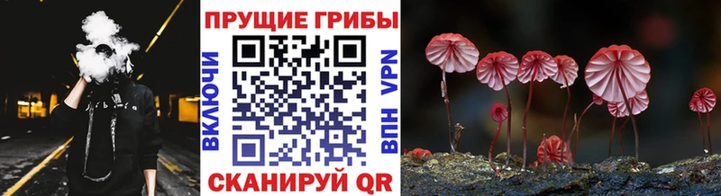 Галлюциногенные грибы прущие грибы Кореновск