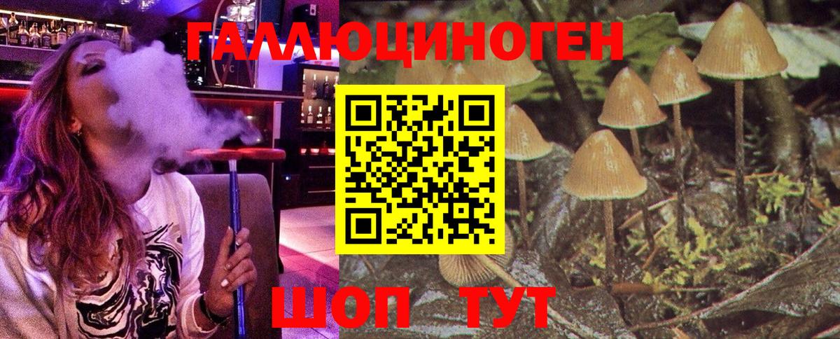 Галлюциногенные грибы Cubensis  Кореновск  Псилоцибиновые грибы Magic Shrooms 