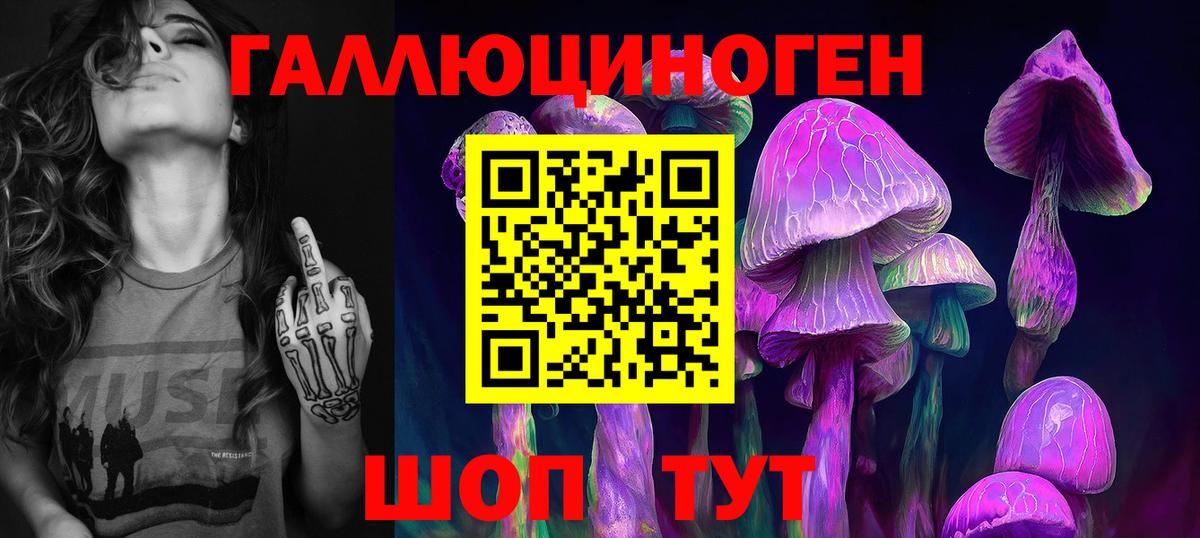 Кореновск  Псилоцибиновые грибы мицелий  Вход с VPN 